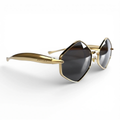 The ‘Prism’ Hexagonal Sunglasses | Black / Gold