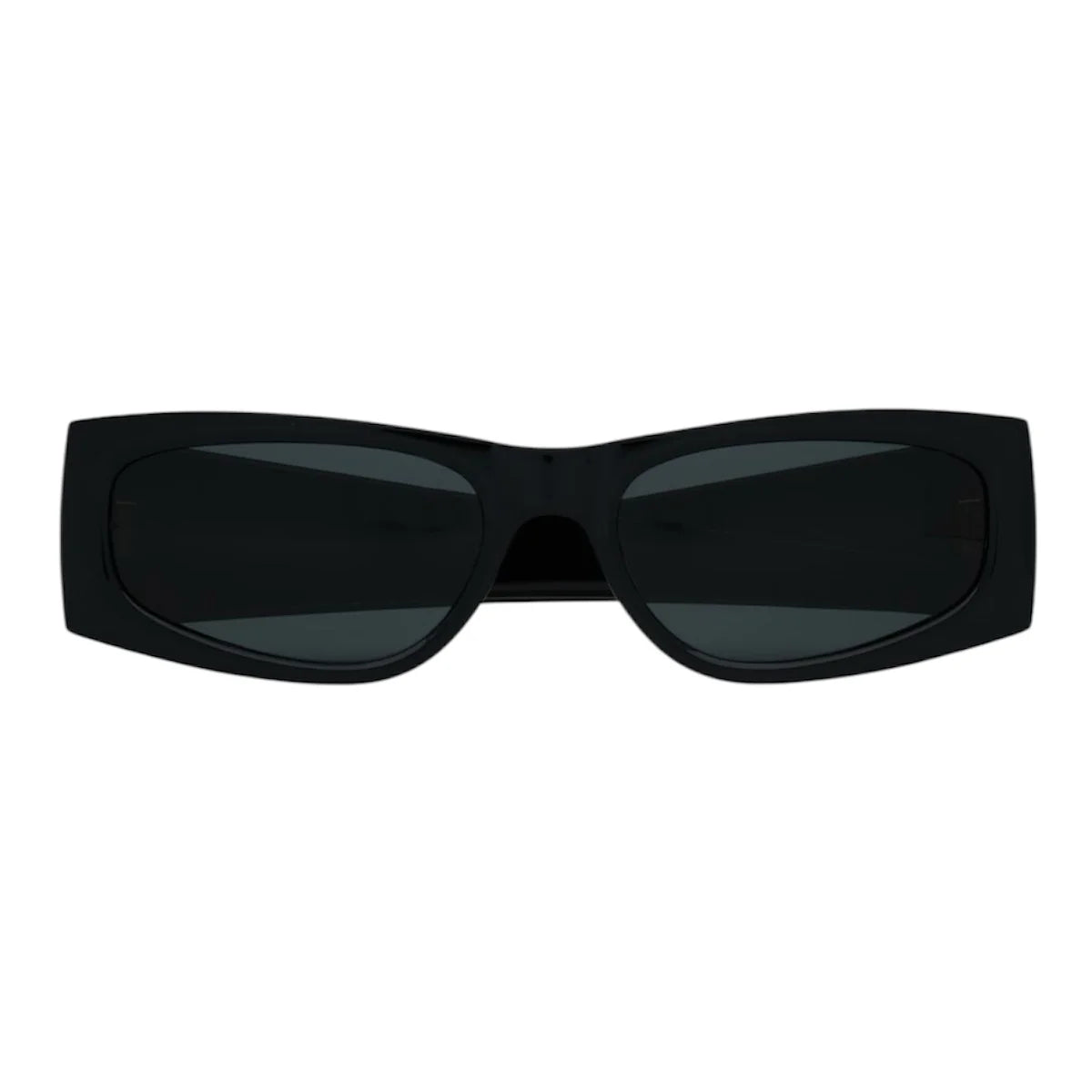 إطار أيقونة السلحفاة SL