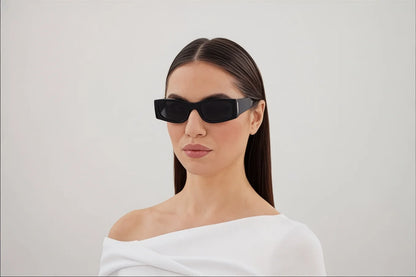 إطار أيقونة السلحفاة SL