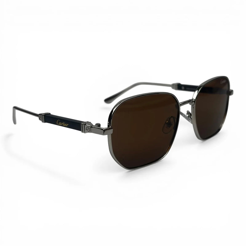 The ‘Aurel’ Geometric Sunglasses | Black / Silver / Brown